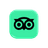 Tripadvisor Reviews